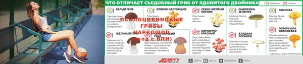 шишки Аркадак