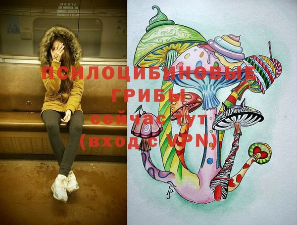стафф Арсеньев