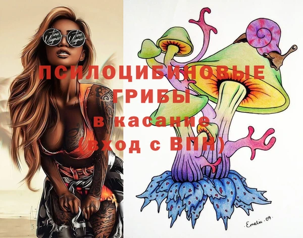 стафф Арсеньев
