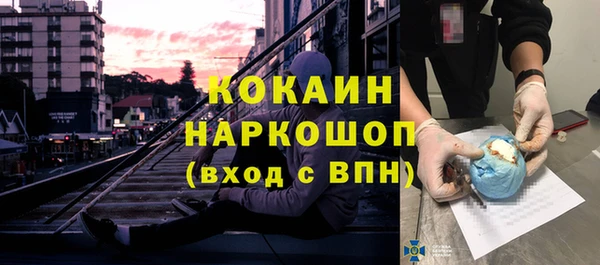 шишки Аркадак