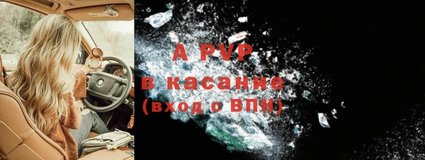 шишки Аркадак