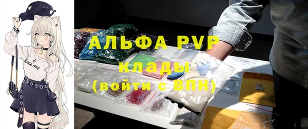 шишки Аркадак