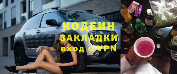 шишки Аркадак