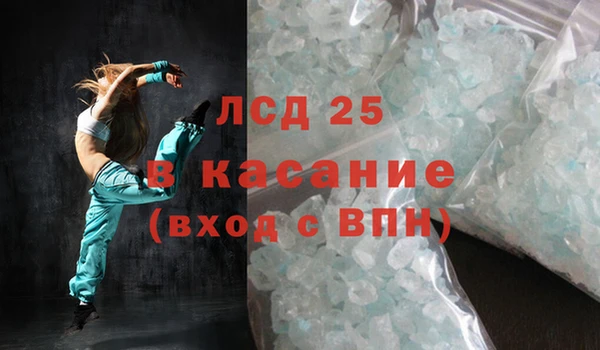 шишки Аркадак